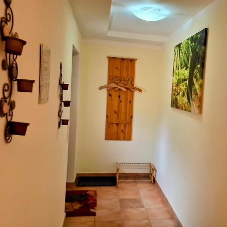 Ferienwohnung Im Landhaus Am Nationalpark Ludwigsthal Exteriör bild