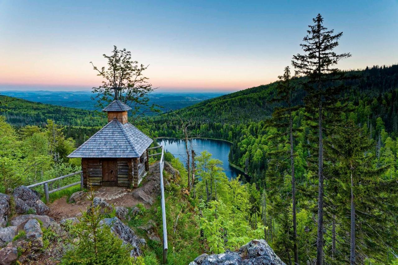 Ferienwohnung Im Landhaus Am Nationalpark Ludwigsthal Exteriör bild