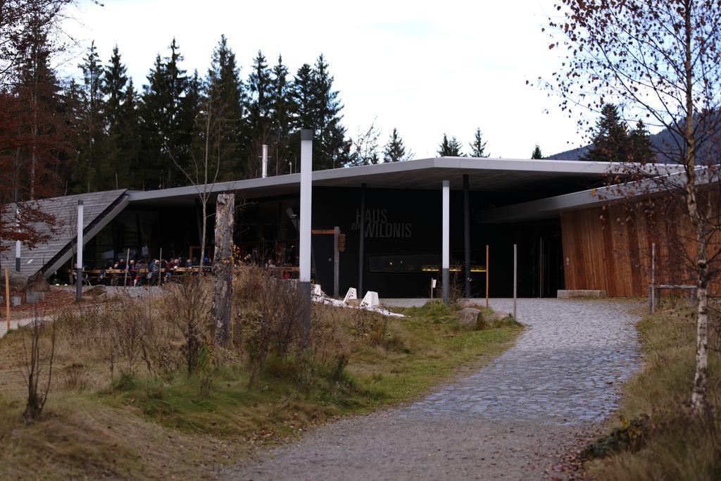Ferienwohnung Im Landhaus Am Nationalpark Ludwigsthal Exteriör bild