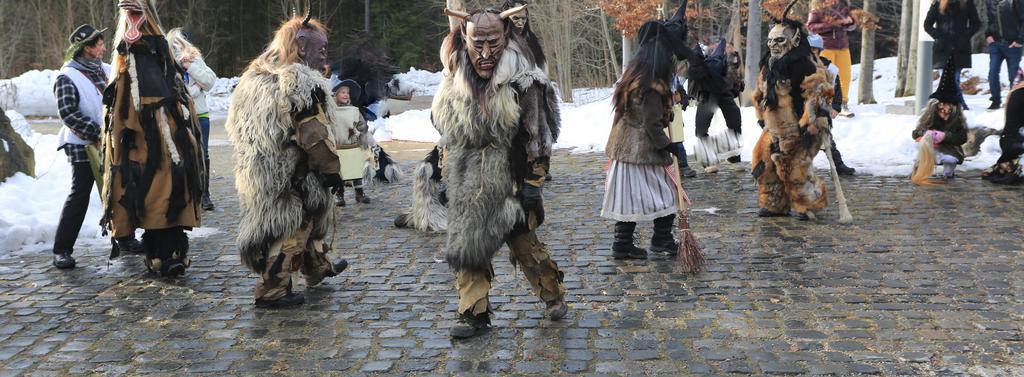 Ferienwohnung Im Landhaus Am Nationalpark Ludwigsthal Exteriör bild