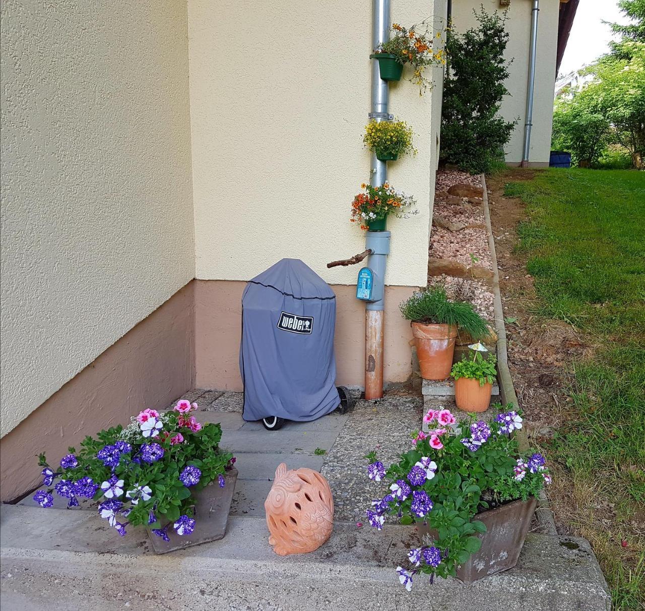 Ferienwohnung Im Landhaus Am Nationalpark Ludwigsthal Exteriör bild